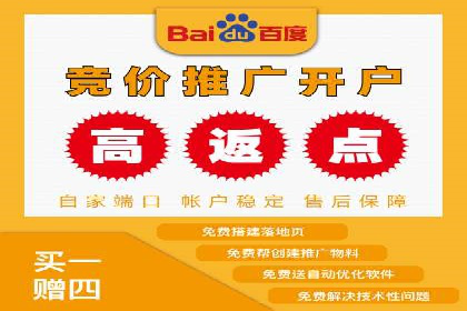百度广告竞价优化技巧及成功案例分享